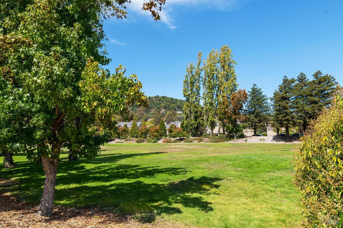 85 Parkview Circle Corte Madera CA 94925