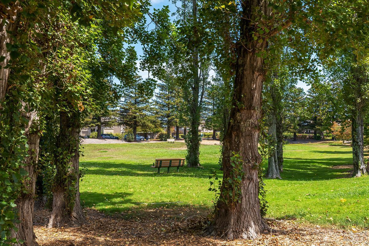 85 Parkview Circle Corte Madera CA 94925