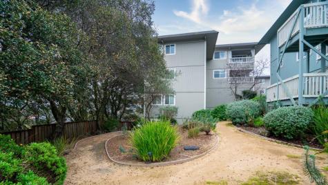 142 Cherry Street Petaluma CA 94952