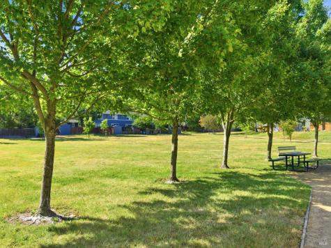 20 Livingston Court Novato CA 94949