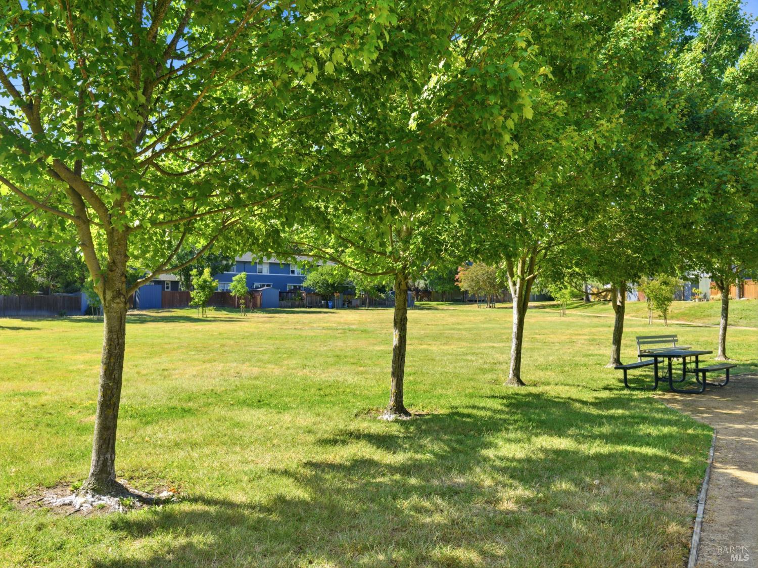 20 Livingston Court Novato CA 94949