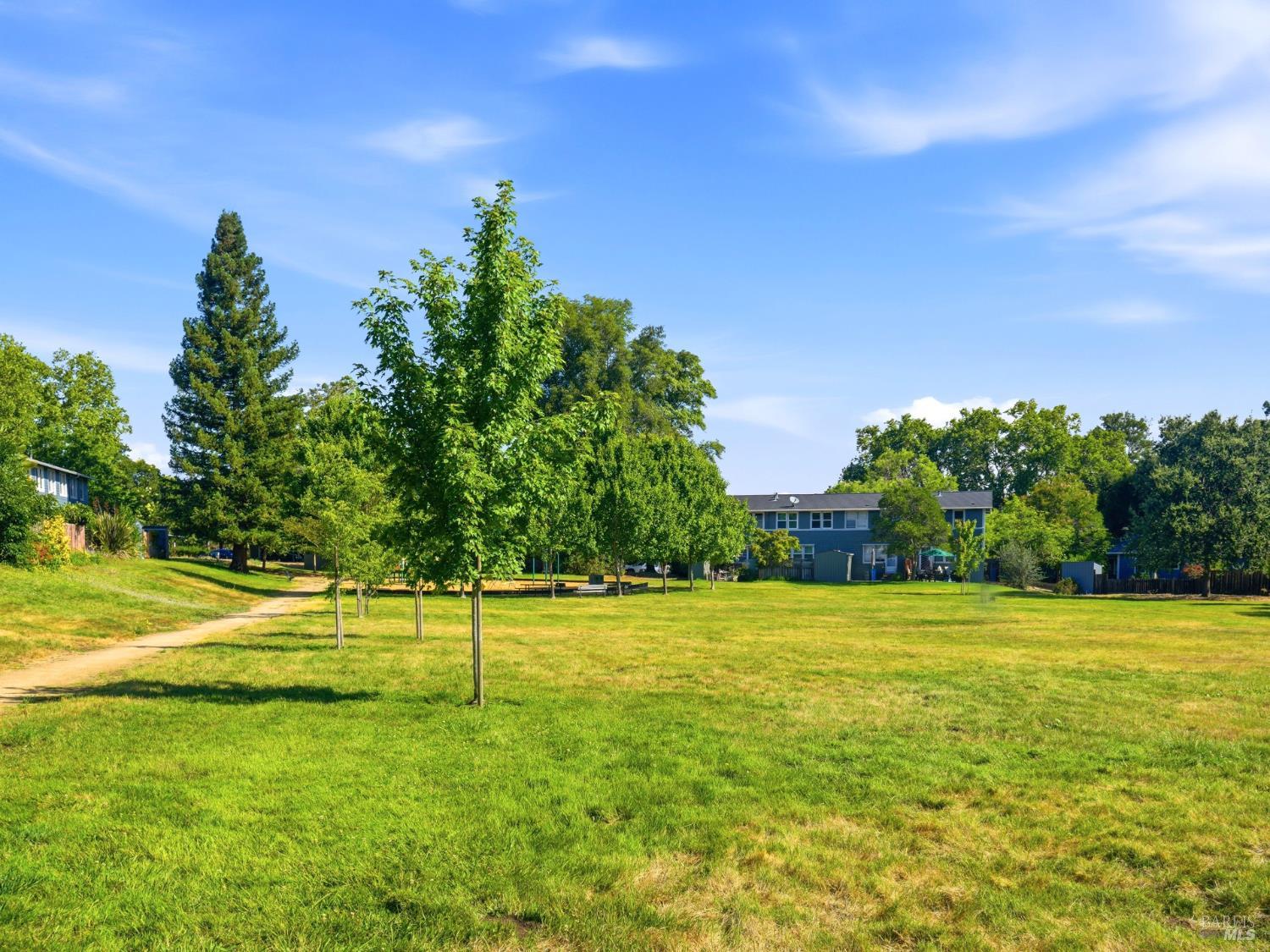 20 Livingston Court Novato CA 94949