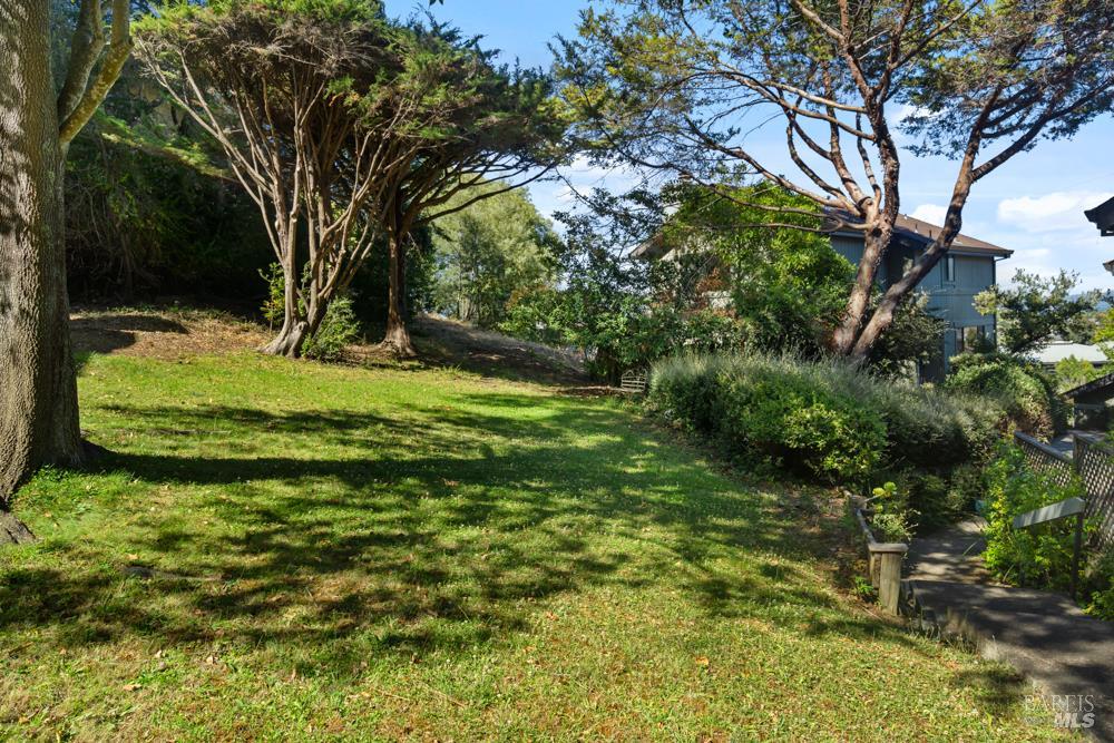 1511 Casa Buena Drive Corte Madera CA 94925