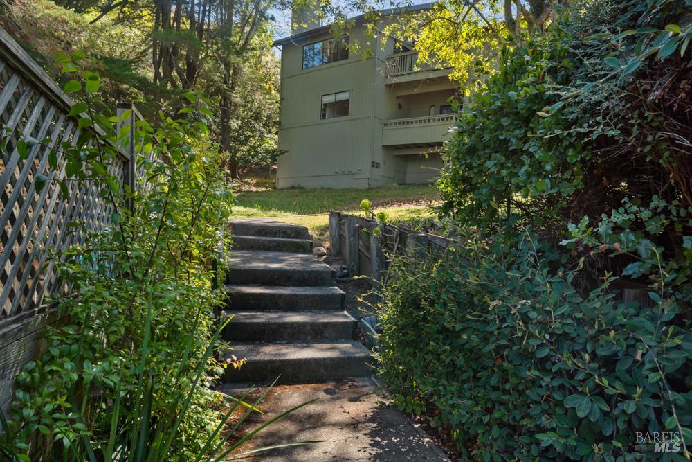 1511 Casa Buena Drive Corte Madera CA 94925