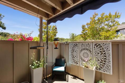 3 Mcintosh Court Novato CA 94949