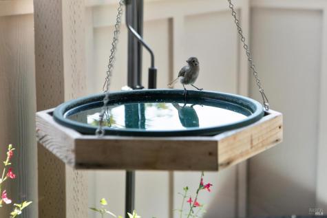 3 Mcintosh Court Novato CA 94949