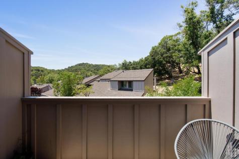 3 Mcintosh Court Novato CA 94949