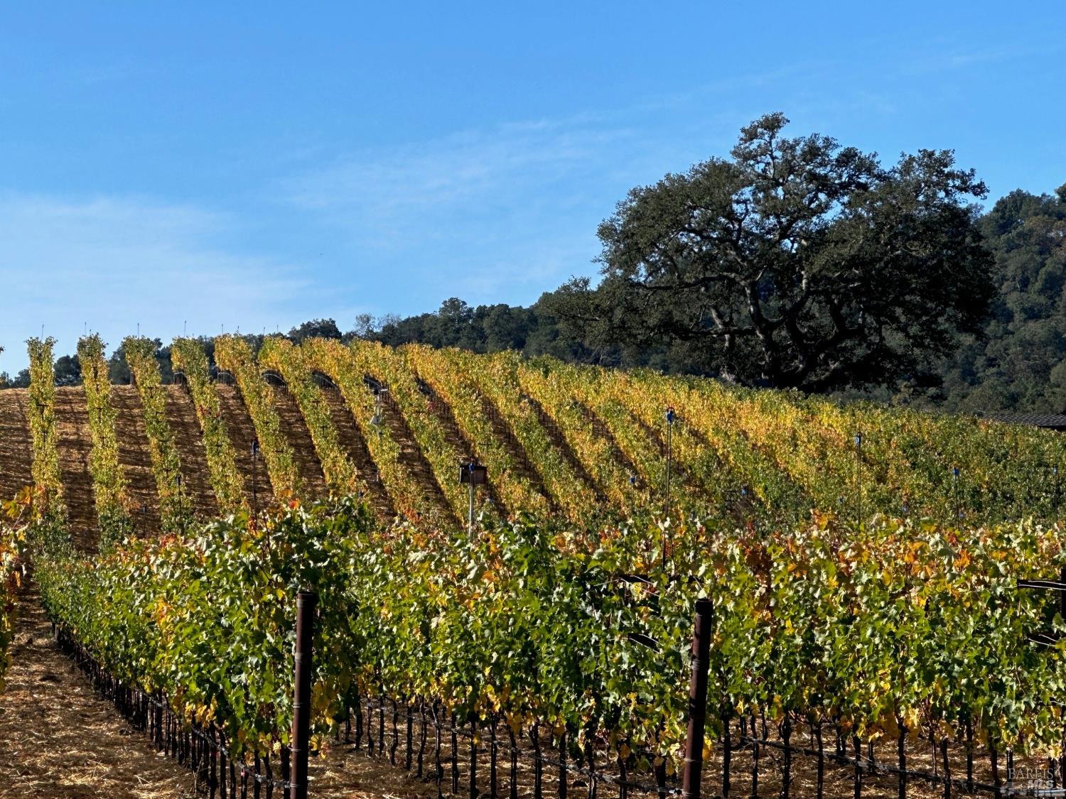78 Village Parkway Napa CA 94558