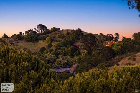 35 Eucalyptus Knoll Street Mill Valley CA 94941