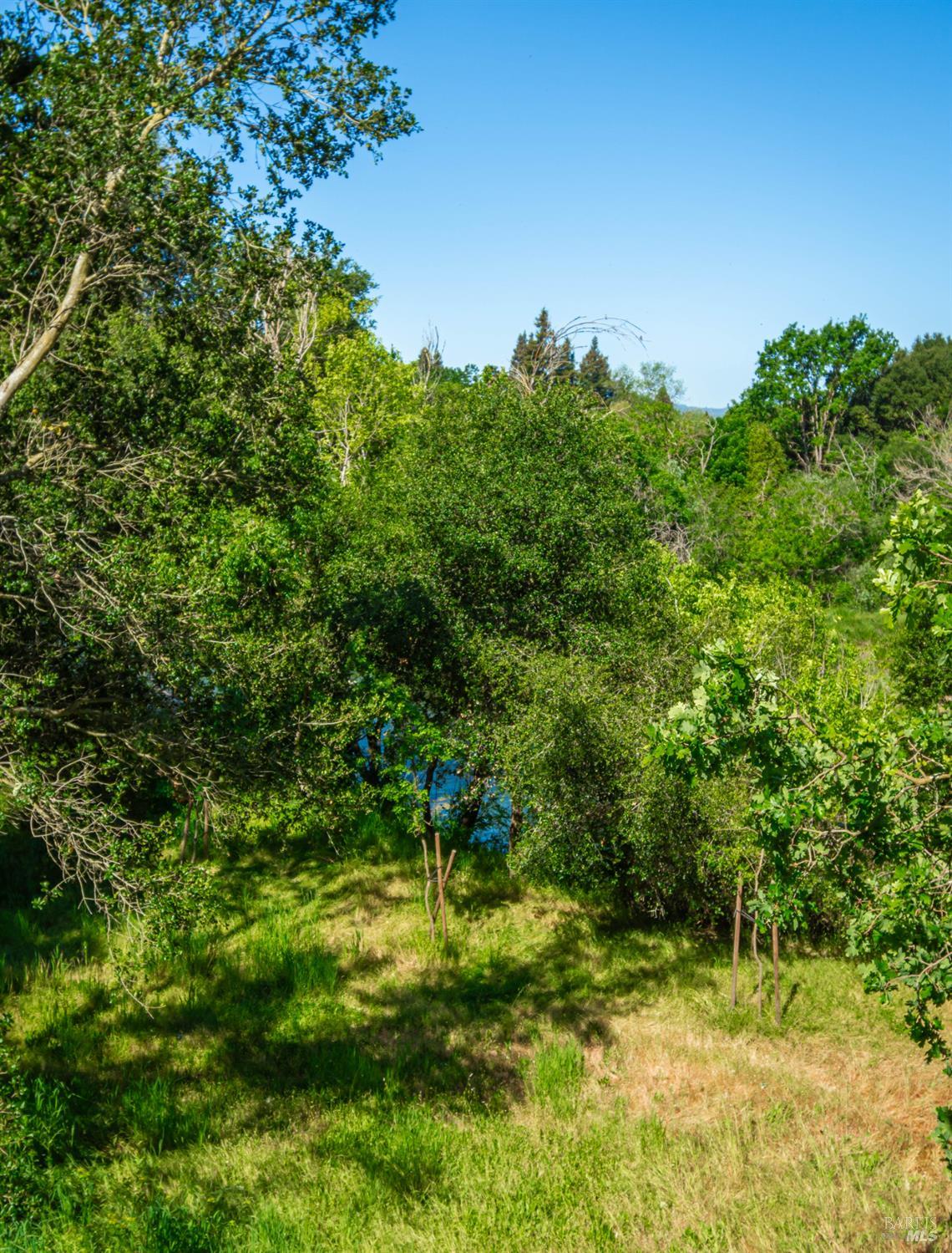 1797 Silverado Trail Napa CA 94558
