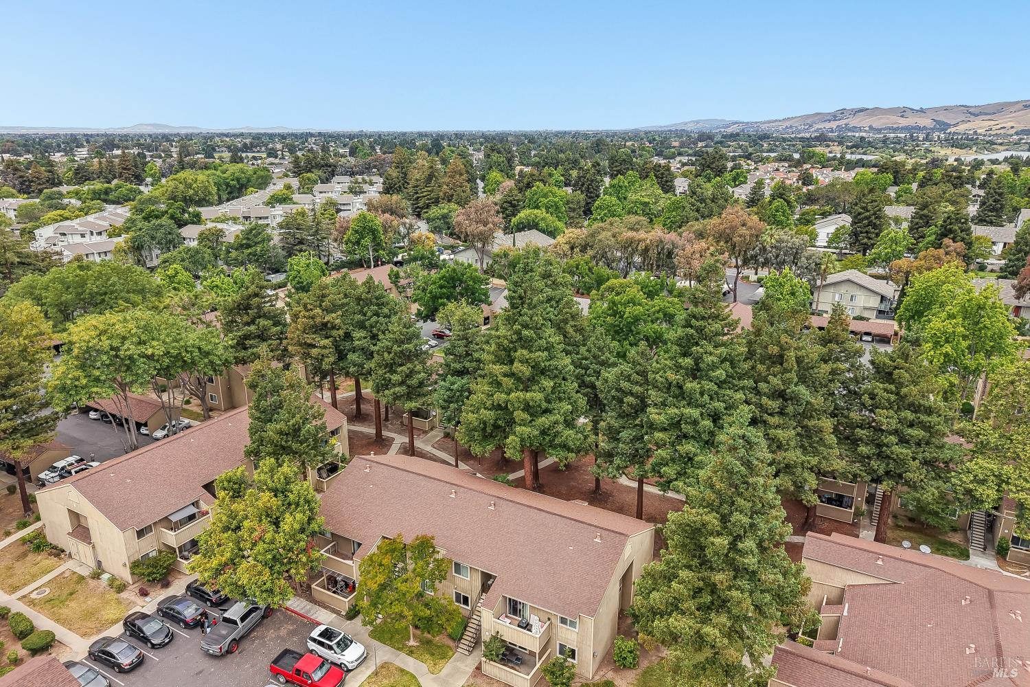 3383 Foxtail Terrace Fremont CA 94536