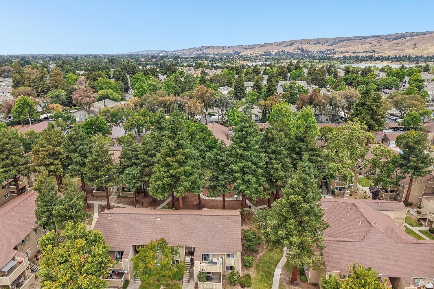 3383 Foxtail Terrace Fremont CA 94536