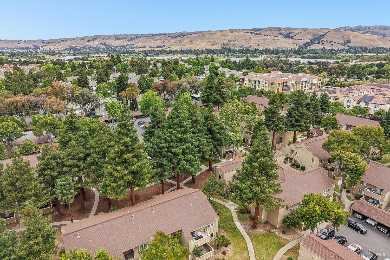 3383 Foxtail Terrace Fremont CA 94536