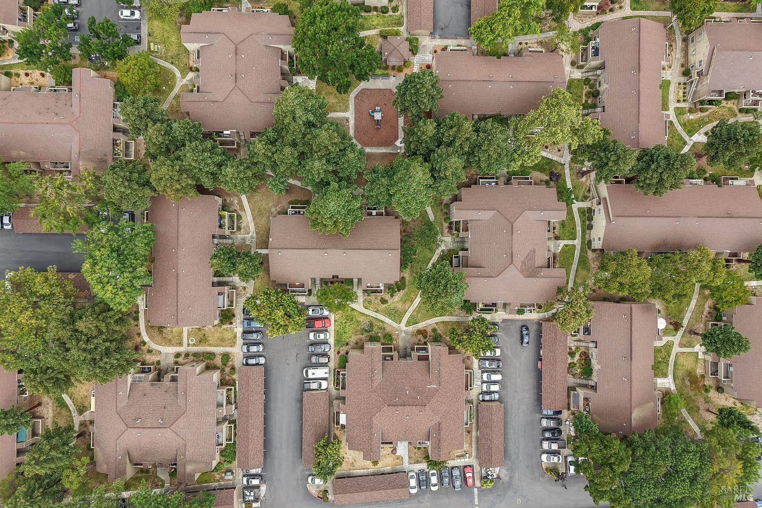 3383 Foxtail Terrace Fremont CA 94536