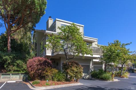 4 Eucalyptus Knoll Street Mill Valley CA 94941