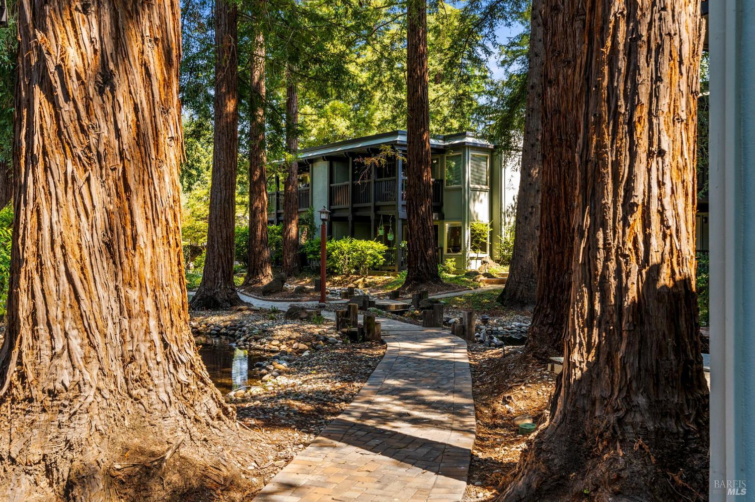 109 Rubicon Circle Danville CA 94526