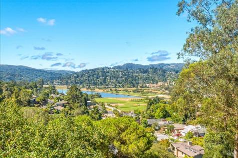 12 Chaucer Court Mill Valley CA 94941