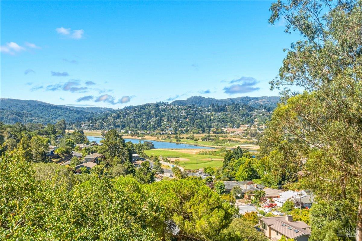 12 Chaucer Court Mill Valley CA 94941