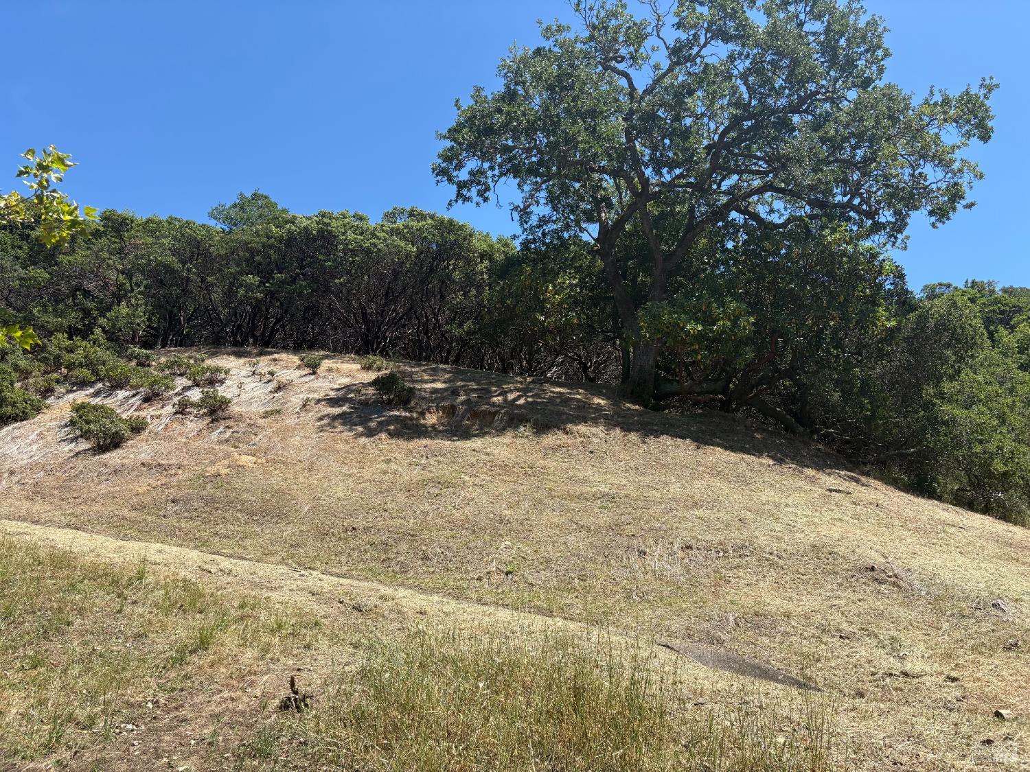 69 Village Circle San Rafael CA 94903