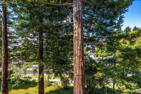 2008 Stonefield Lane Santa Rosa CA 95403