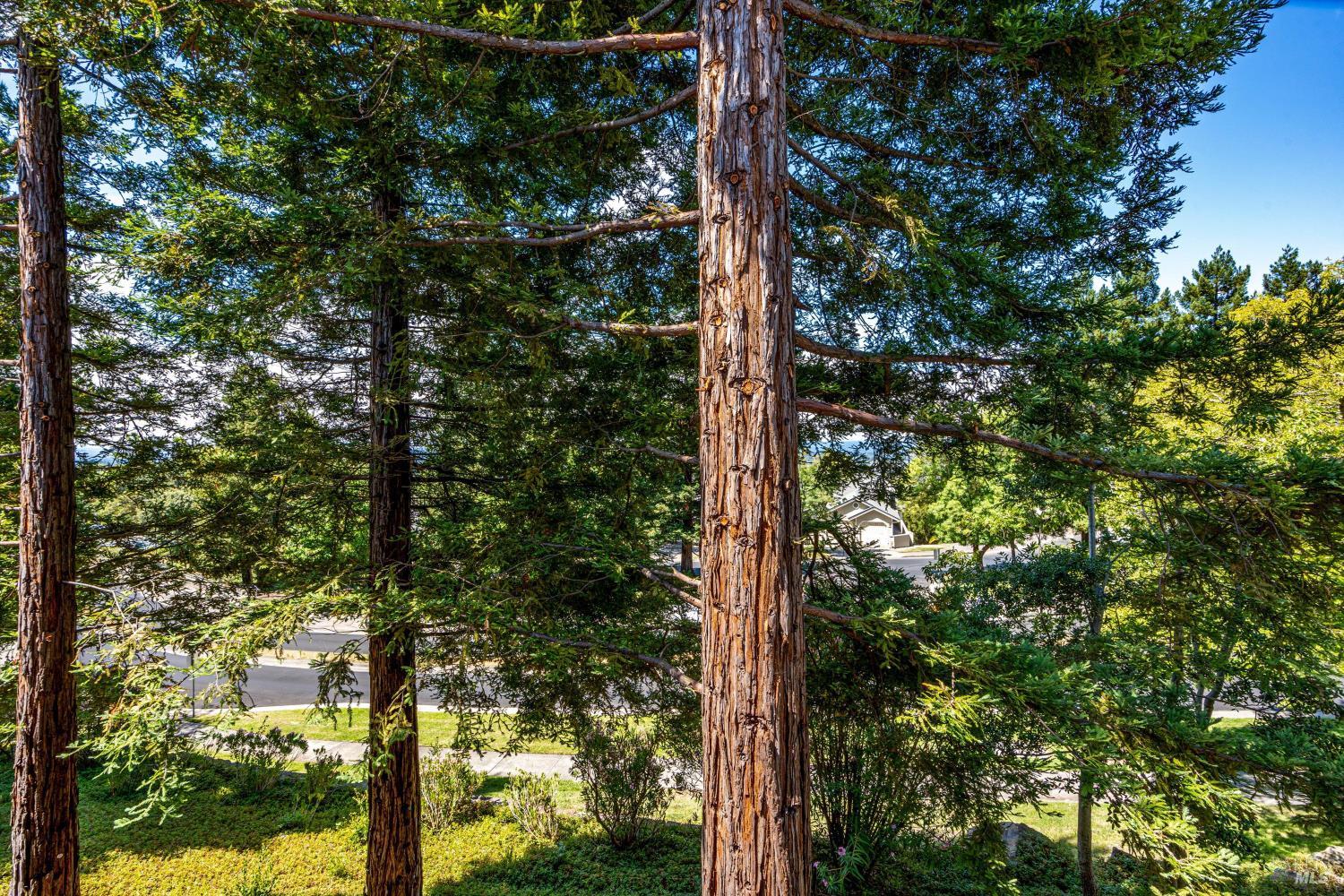 2008 Stonefield Lane Santa Rosa CA 95403