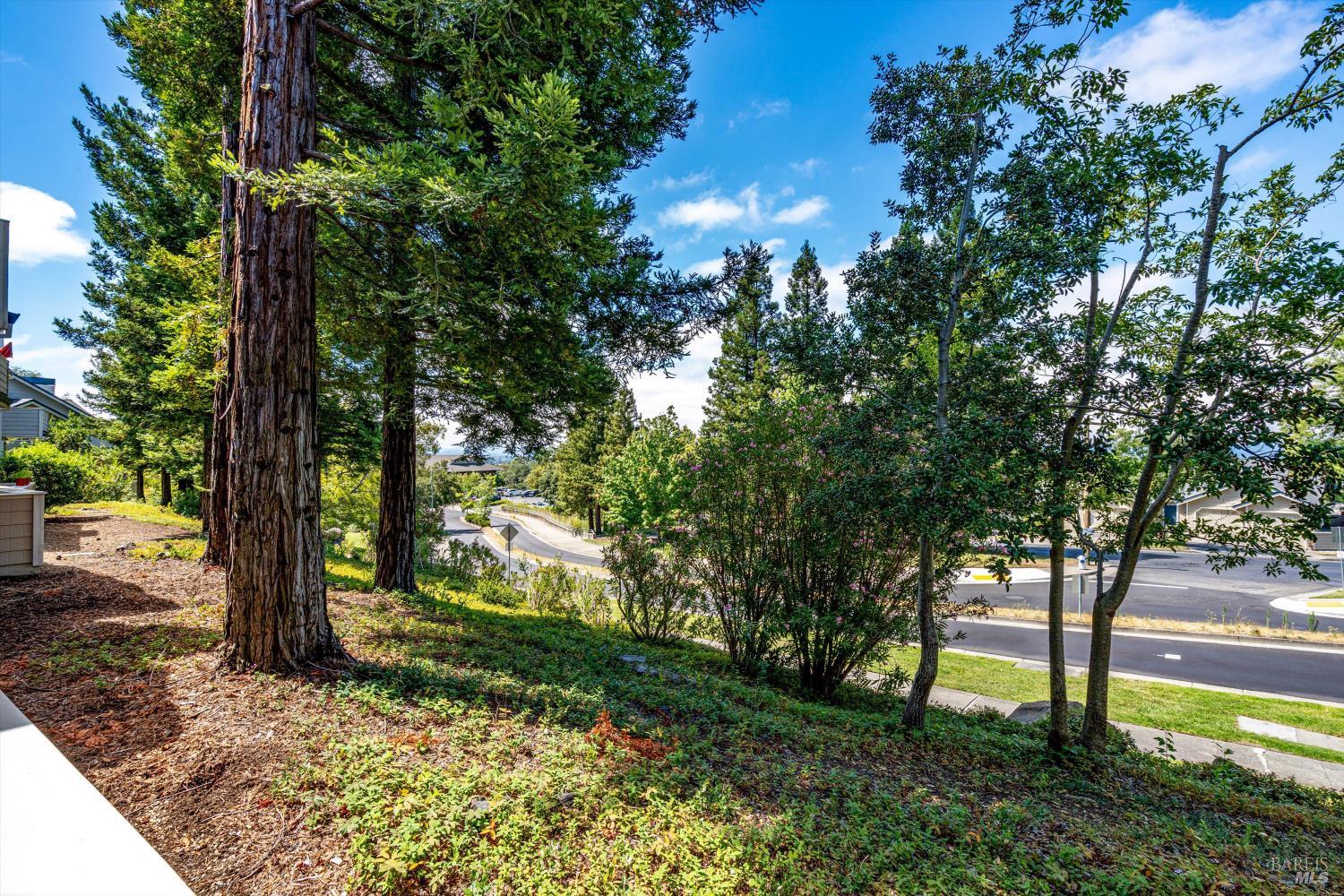 2008 Stonefield Lane Santa Rosa CA 95403