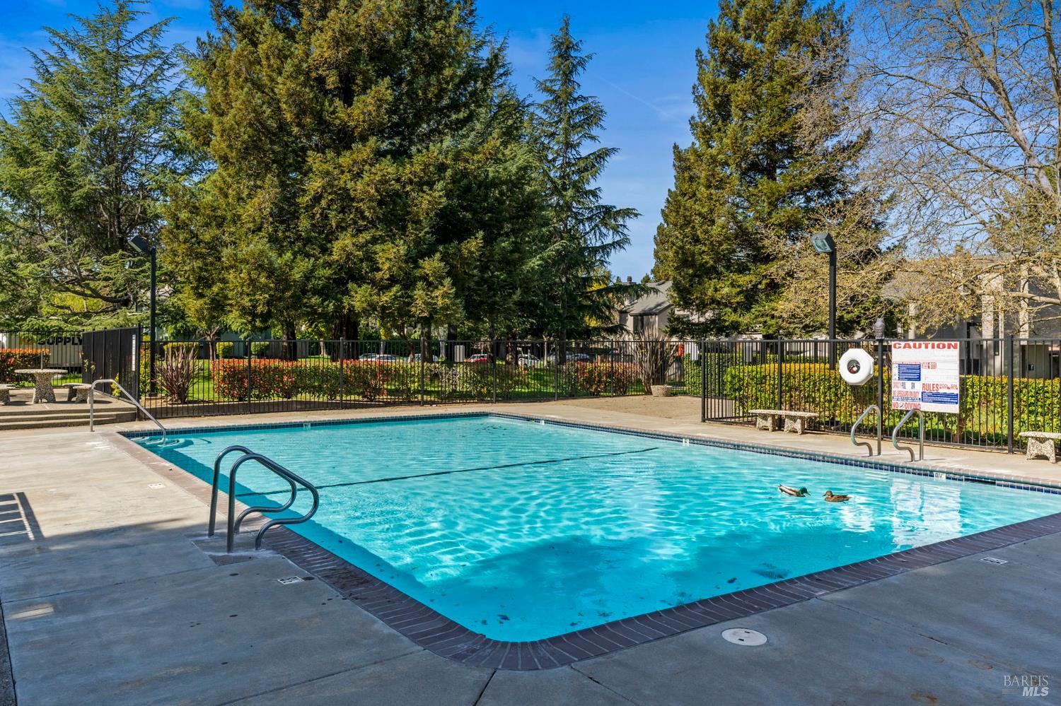 3482 Shelter Creek Drive Napa CA 94558