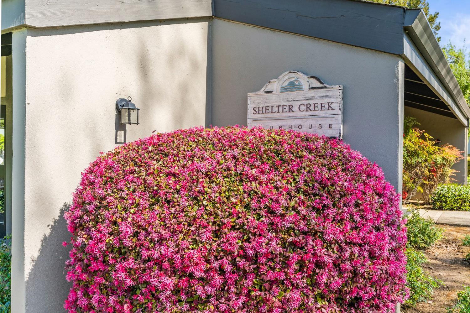 3482 Shelter Creek Drive Napa CA 94558
