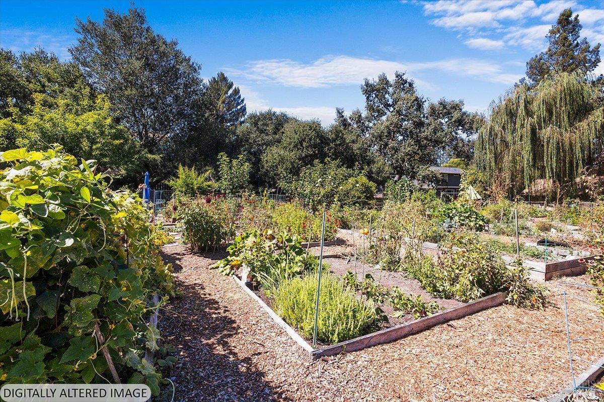 3005 Aurora Court Santa Rosa CA 95405