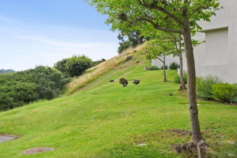 121 Red Hill Circle Tiburon CA 94920
