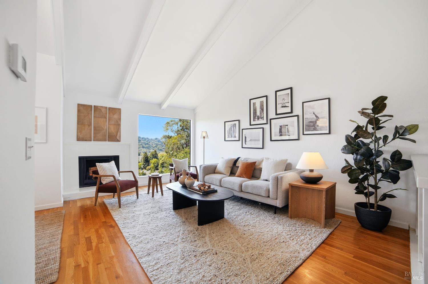 16 Chaucer Court Mill Valley CA 94941