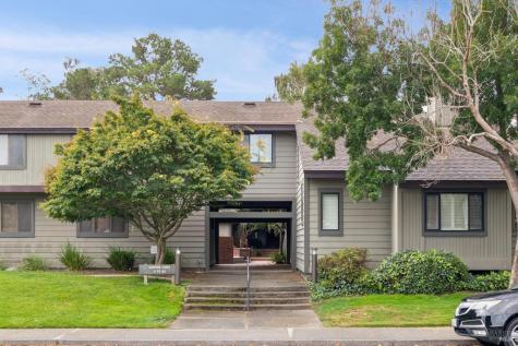 23 Ashford Avenue Mill Valley CA 94941