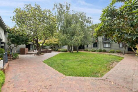 23 Ashford Avenue Mill Valley CA 94941