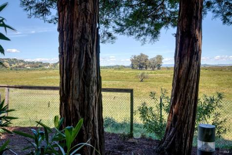 100 North Avenue San Rafael CA 94903