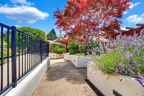 46 Ned's Way Tiburon CA 94920