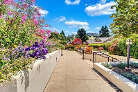 46 Ned's Way Tiburon CA 94920