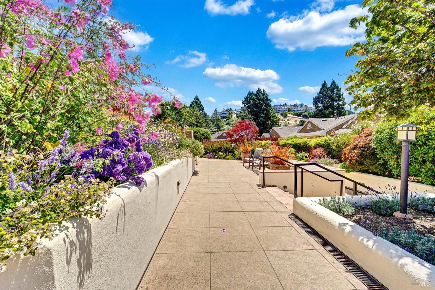 46 Ned's Way Tiburon CA 94920