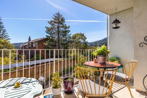 161 Lower Via Casitas Greenbrae CA 94904