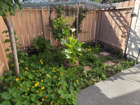 19 Manchester Court Novato CA 94947