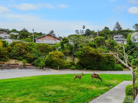 34 Lagoon Vista Tiburon CA 94920