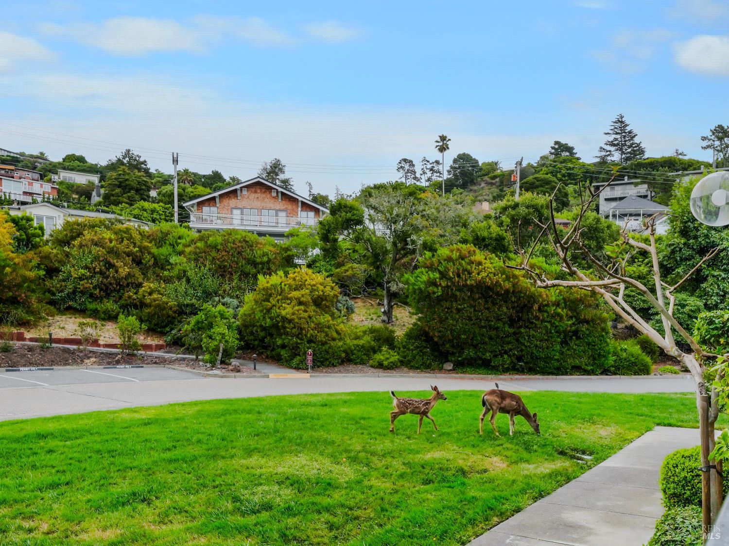 34 Lagoon Vista Tiburon CA 94920