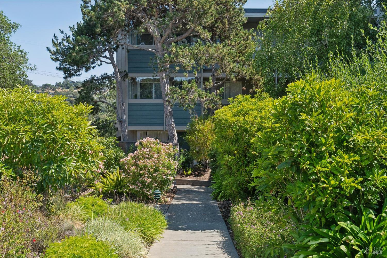 320 Via Casitas Greenbrae CA 94904