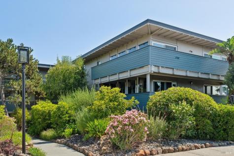 320 Via Casitas Greenbrae CA 94904