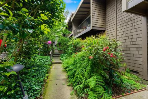 1411 Casa Buena Drive Corte Madera CA 94925