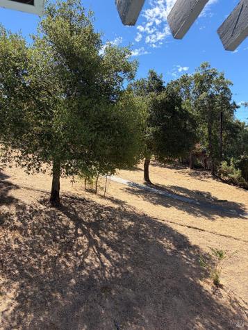 81 Scottsdale Way Novato CA 94947