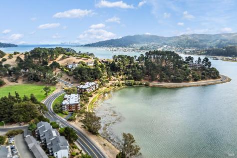 160 Seminary Drive Mill Valley CA 94941