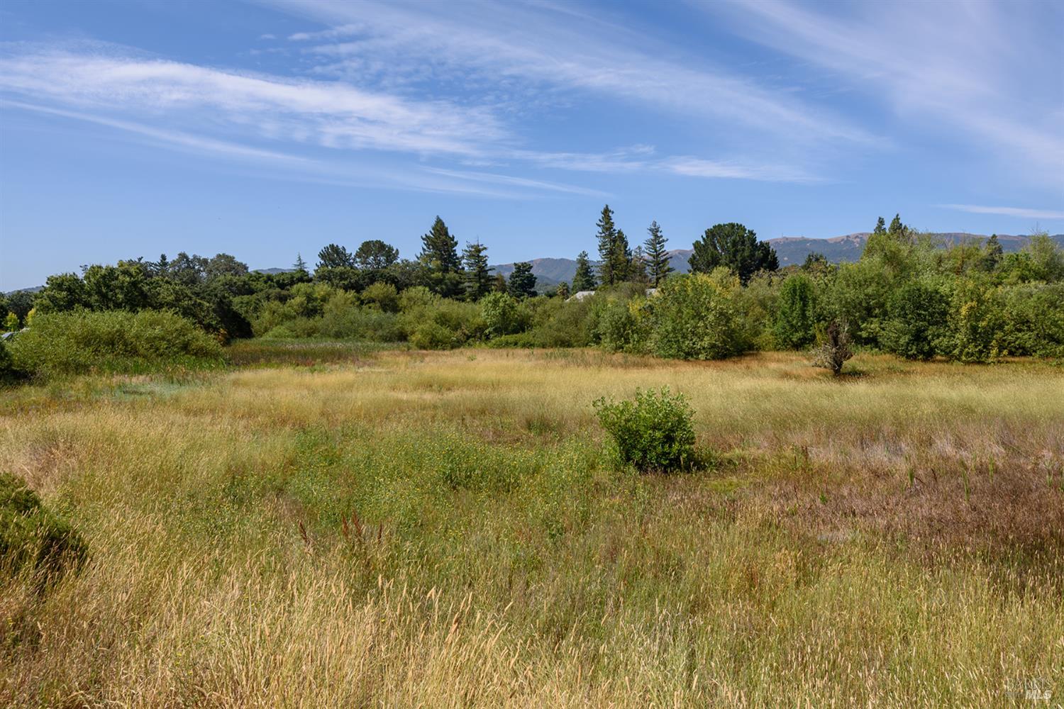 222 Seagull Row Novato CA 94945