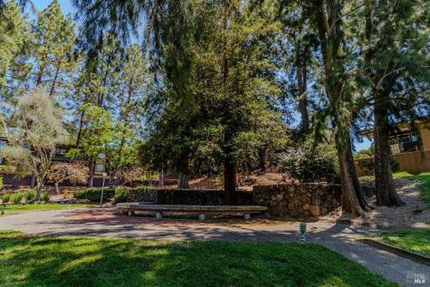 5 Forest Lane San Rafael CA 94903