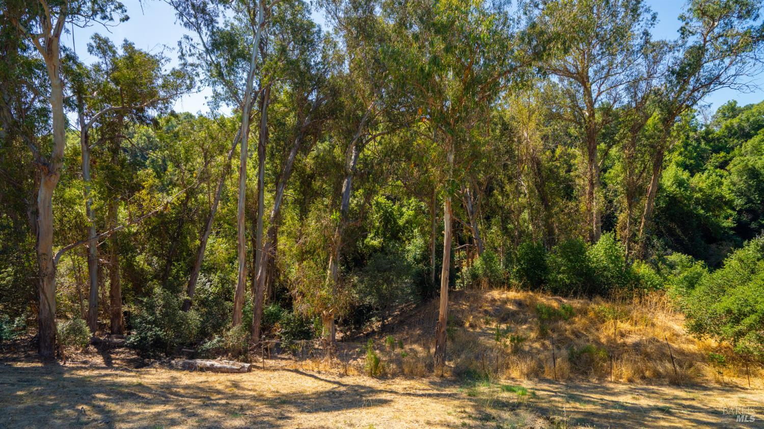 1889 Chantilly Lane Hayward CA 94541