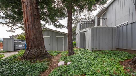 14 Scottsdale Way Novato CA 94947